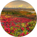 S Cousin profile picture