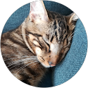 Jean Metivet profile picture